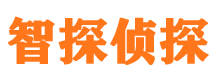 八道江市调查公司